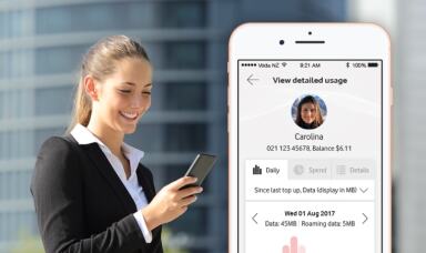 Business - View Usage
