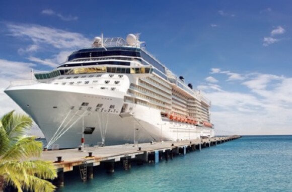 A cruise ship, docked in a tropical setting. Maritime roaming.