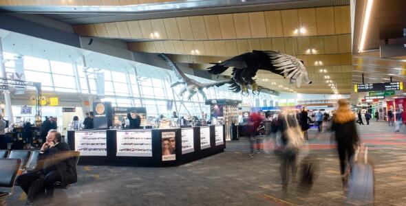 The interior of Wellington Airport. On a good day.