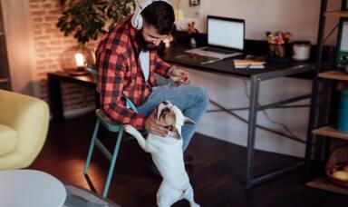 Man playing with a dog at his home office