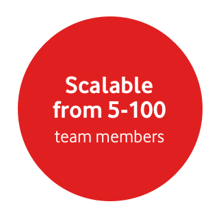 Scalale from 5-100 team members