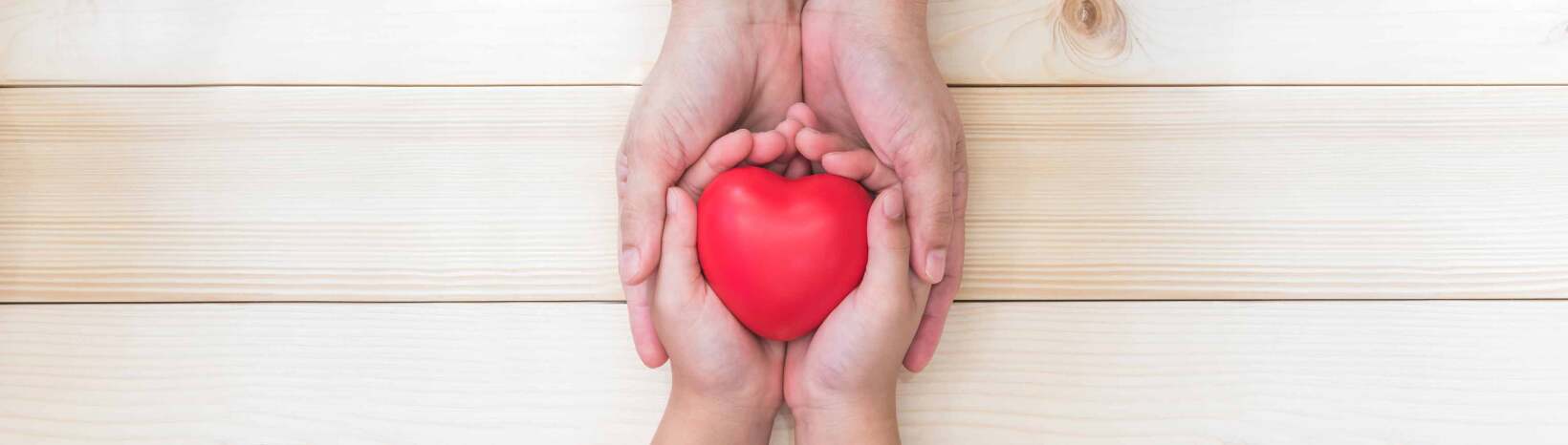 Vodafone New Zealand Foundation calls on registered charities to apply for $250,000 of innovation grants