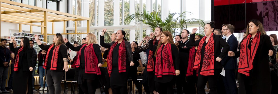 Te Hā Whero, Vodafone New Zealand’s kapa haka team