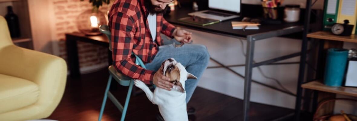 Man playing with a dog at his home office