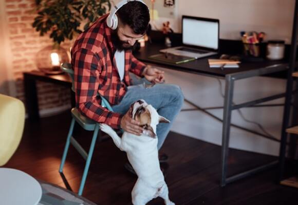 Man playing with a dog at his home office