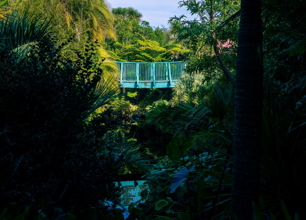 A blue bridge across a stream surrounded by greenery, located in the Hamilton Gardens
