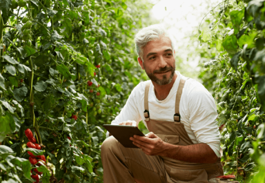 Creating value in the field; a man gathering agricultural information in a row of vines.