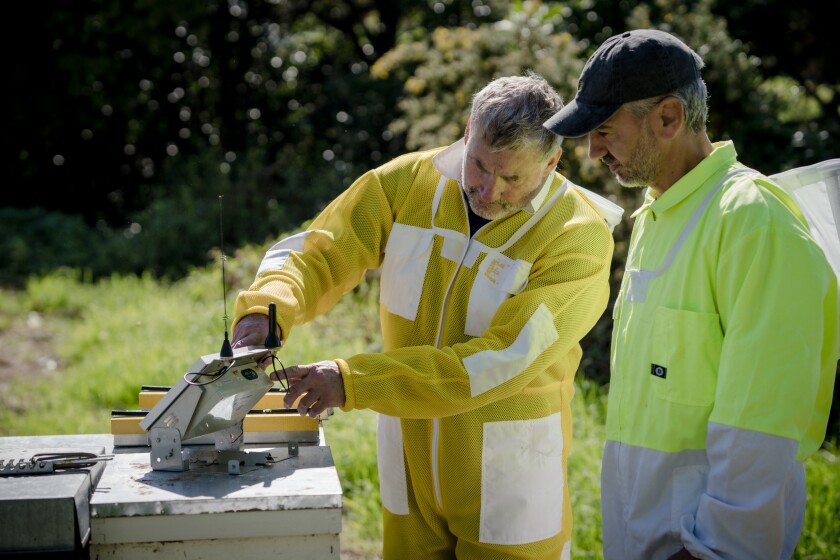 Andrew demonstrating IoT capability at the hive.