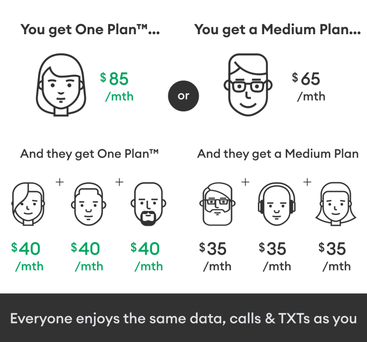 Companion plans - One Plan and Medium Plan