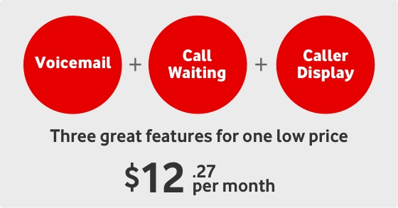 Three great features for one low price $12.27 per month