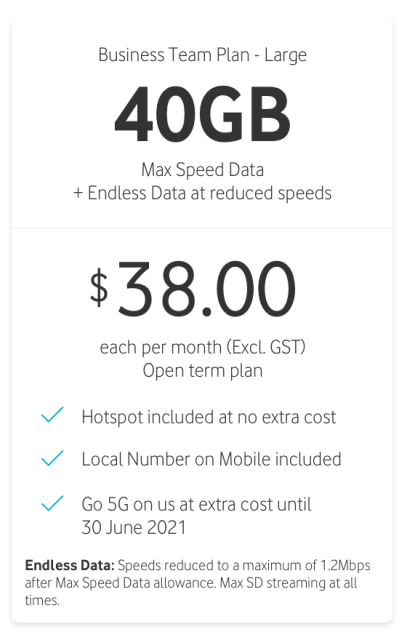 Business Team Plan - Large 40GB