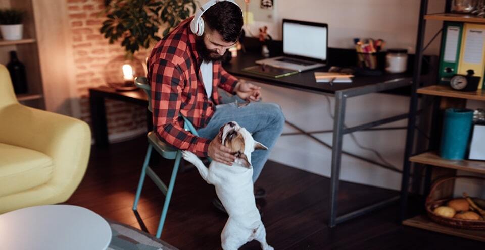 Man playing with a dog at his home office