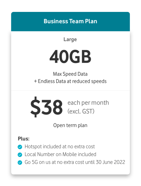 Business Team Plan card: Large - 40GB Max speed Data +Endless Data at reduced speeds. $38 each per month (excl. GST) Open term plan, hotspot included, local number on mobile included, 5G ready