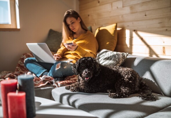 Lady with a dog sitting on couch using laptop