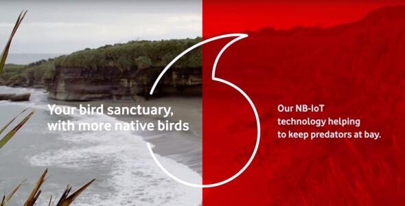 Your bird sanctuary, with more native birds