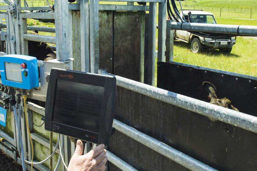 Vodafone puts improved productivity into the hands of Kiwi farmers