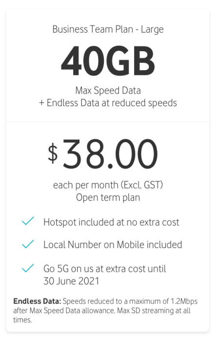 Business Team Plan - Large 40GB
