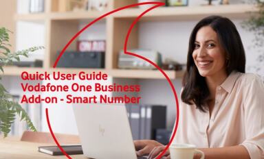Quick User Guide Vodafone One Business Add-on - Smart Number