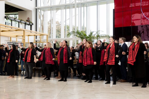 Te Hā Whero, Vodafone New Zealand’s kapa haka team