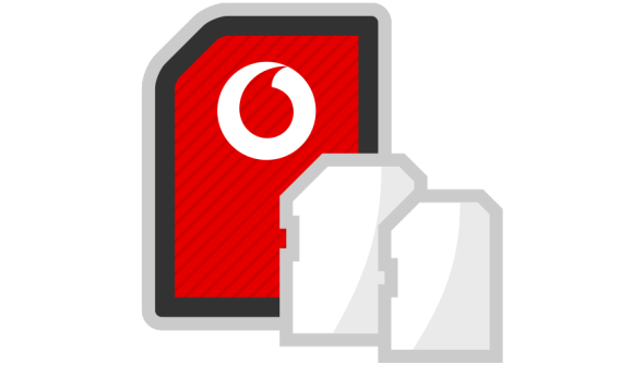 Standard SIM grpahic