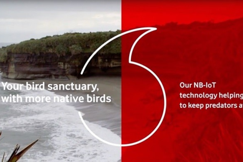 The future according to Punakaiki