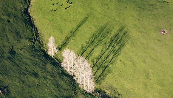 Drone view of farm from above